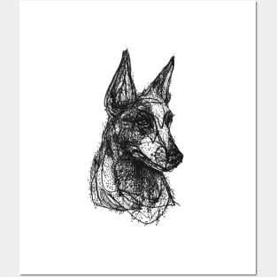 Cattle Dog Posters and Art